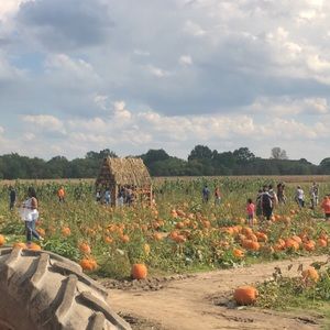 Meet your Posher, Abigail